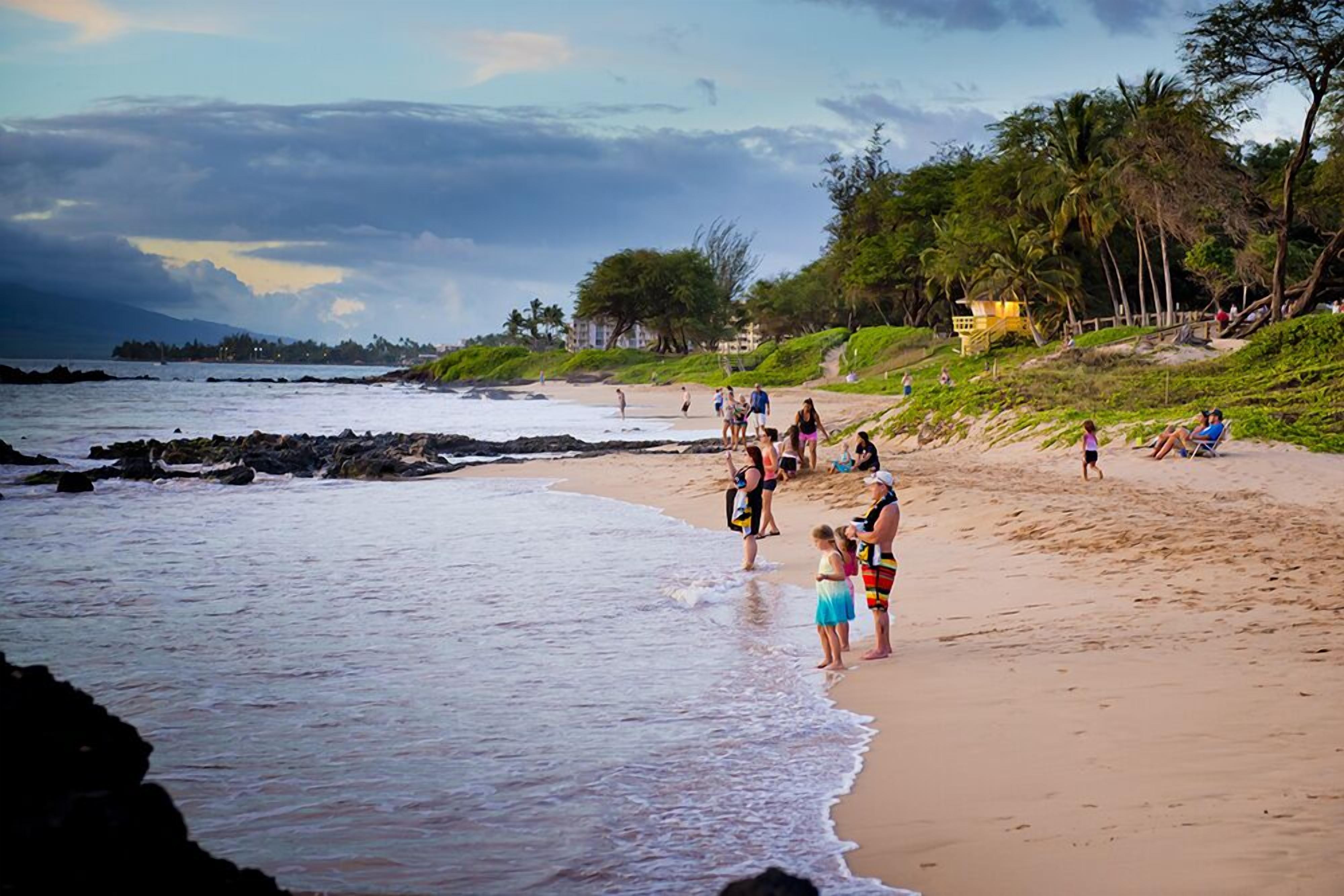 A beach with people, a lifeguard tower, and palm trees.
