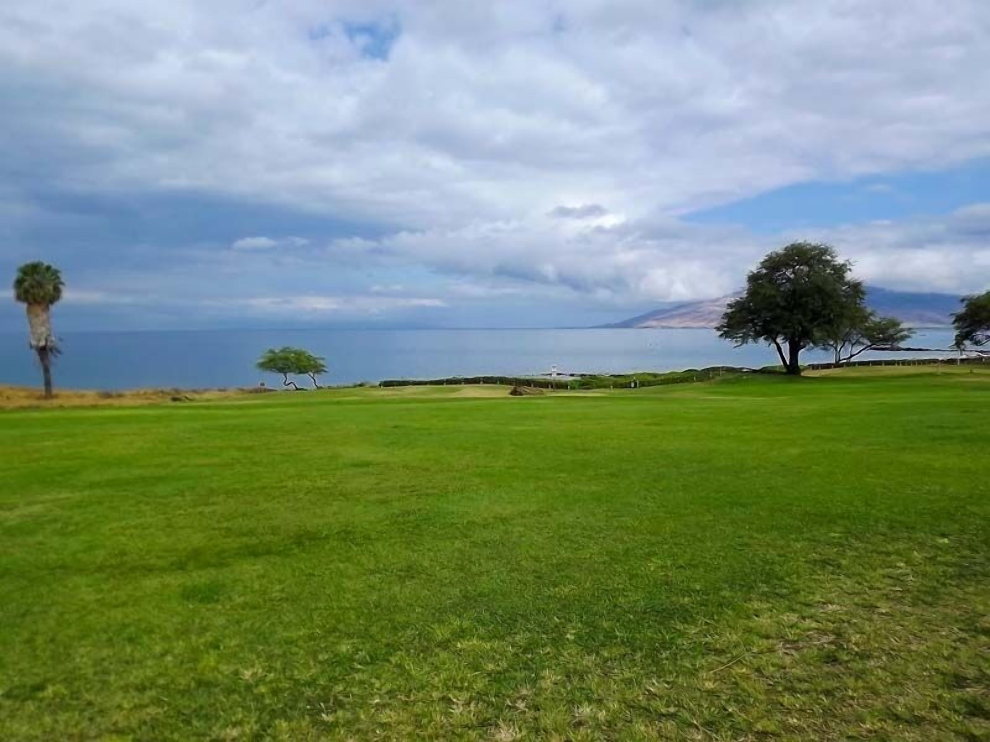 Un champ verdoyant avec quelques arbres et, au loin, une vue sur l’océan.