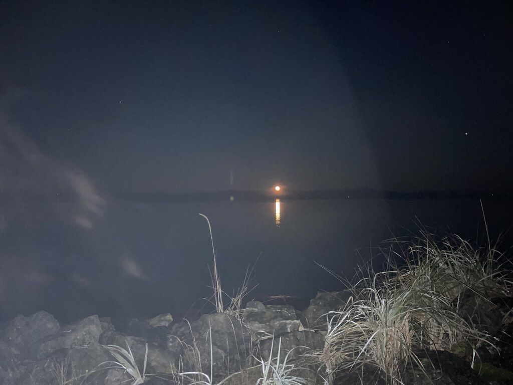 Nachtansicht eines ruhigen Gewässers mit einer entfernten Lichtquelle, möglicherweise einem Leuchtturm oder Gebäude, und steiniger Ufervegetation.