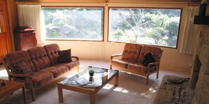 Smart TV, chimenea, reproductor de DVD y biblioteca musical 