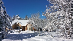 Una casa cubierta de nieve con techo inclinado, rodeada de árboles cargados de nieve y un cielo azul despejado.