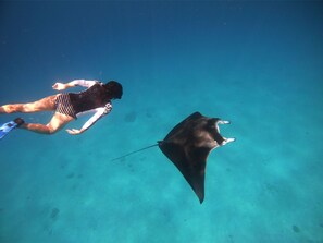 Exterior - South Ari Dive Center (Dhangethi)