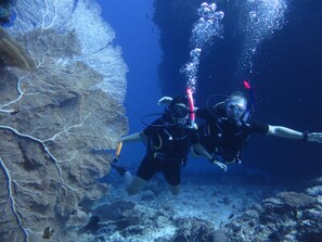 บริเวณภายนอก