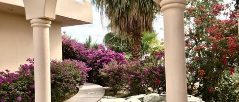 A covered outdoor area with a stone pathway, surrounded by large rocks and flowering plants.