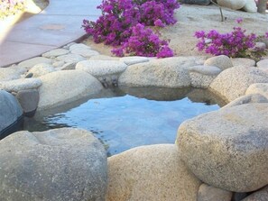 Spa - Amazing Ocean Views, Kayaks, Snorkeling, Fast Wi-Fi, Pickleball, Near Beach. (Los Barriles)