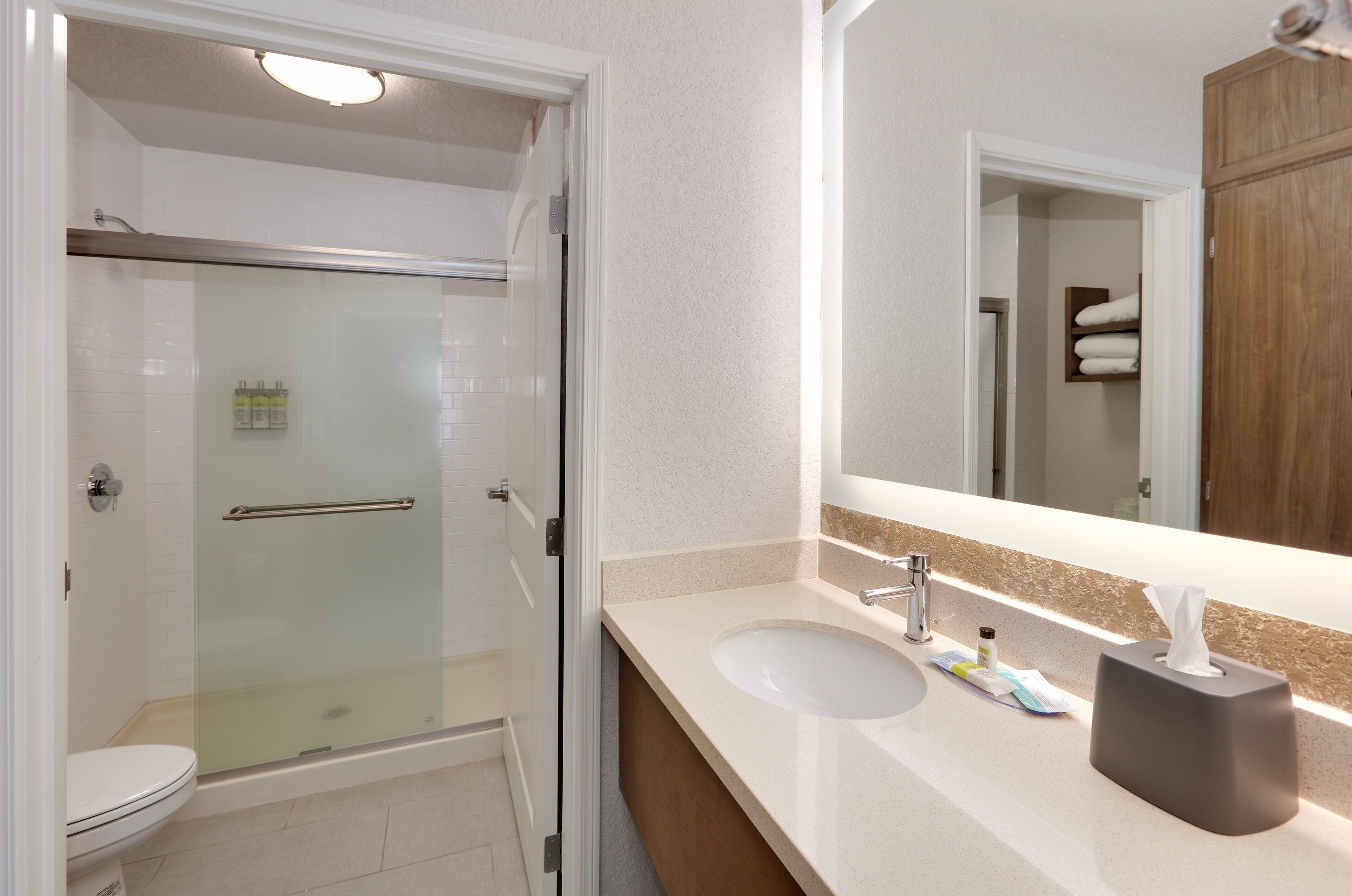 A modern bathroom with a glass-enclosed shower, a white sink, and a large mirror.