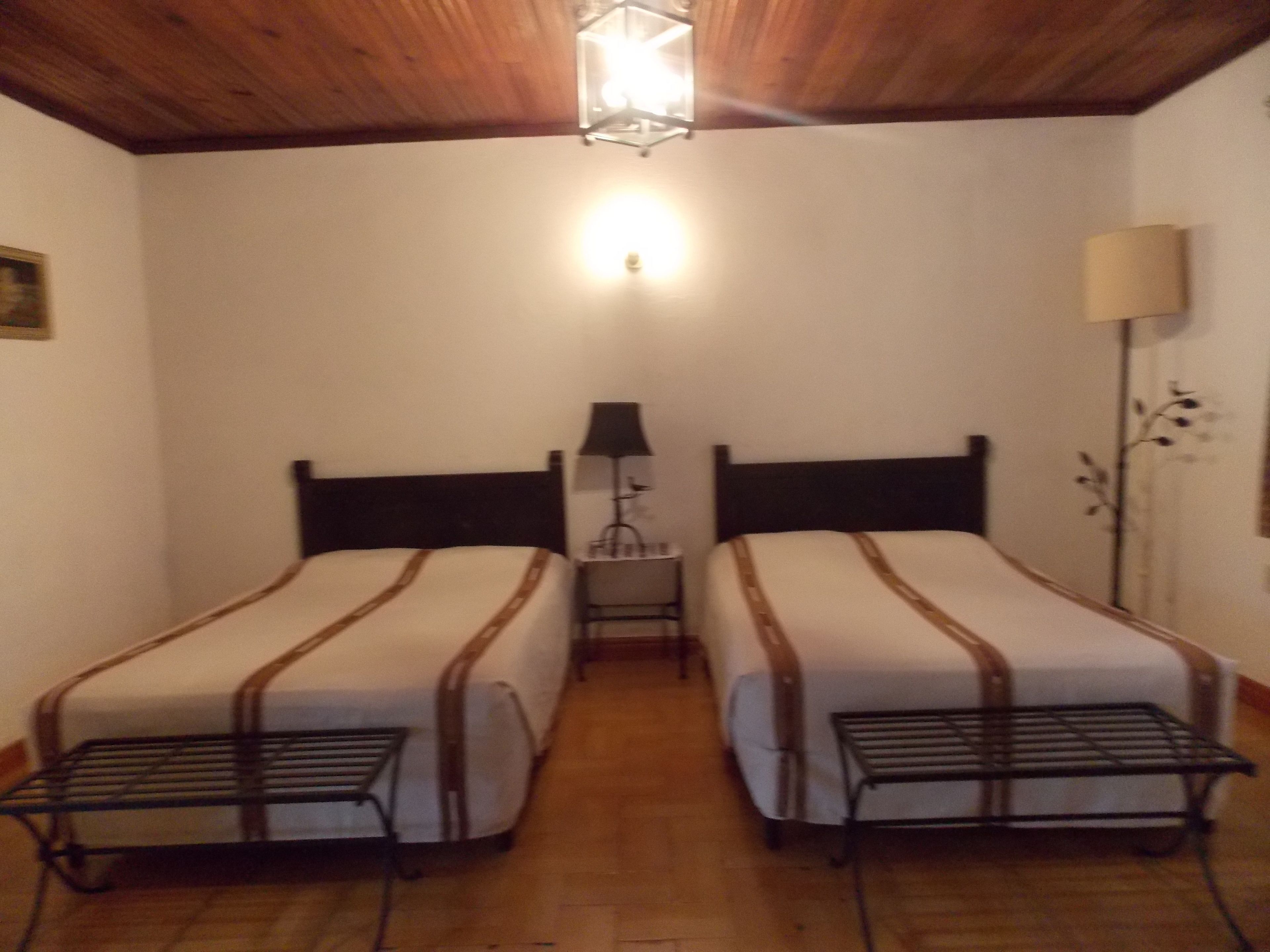 A room with two single beds, a nightstand with a lamp, a bedside table, and a plant.