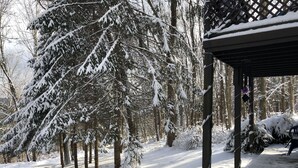Un espace extérieur enneigé, agrémenté d’une pergola en bois et d’arbres couverts de neige.