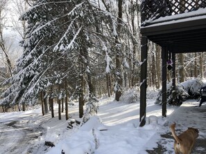 Overnattingsstedets uteområder
