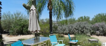 Palm trees, pool in Northwest Tucson next to Catalina mountains, Southwest shops