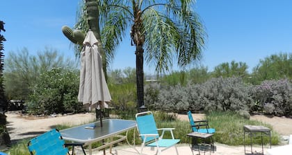 Palm trees, pool in Northwest Tucson next to Catalina mountains, Southwest shops