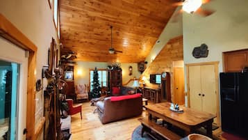 TV connectée, cheminée, jeux vidéo, lecteur de DVD