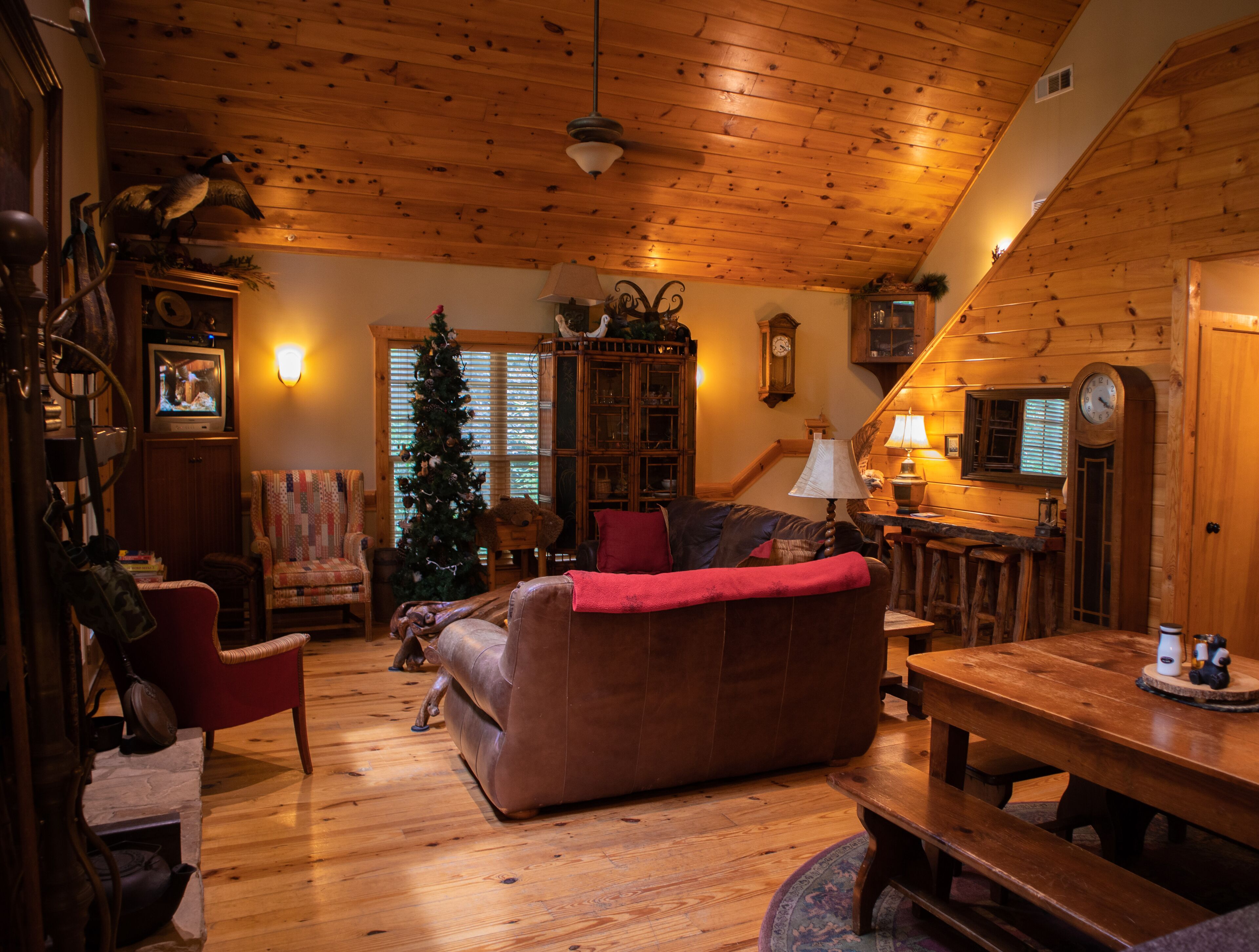 Smart TV, fireplace, video games, DVD player