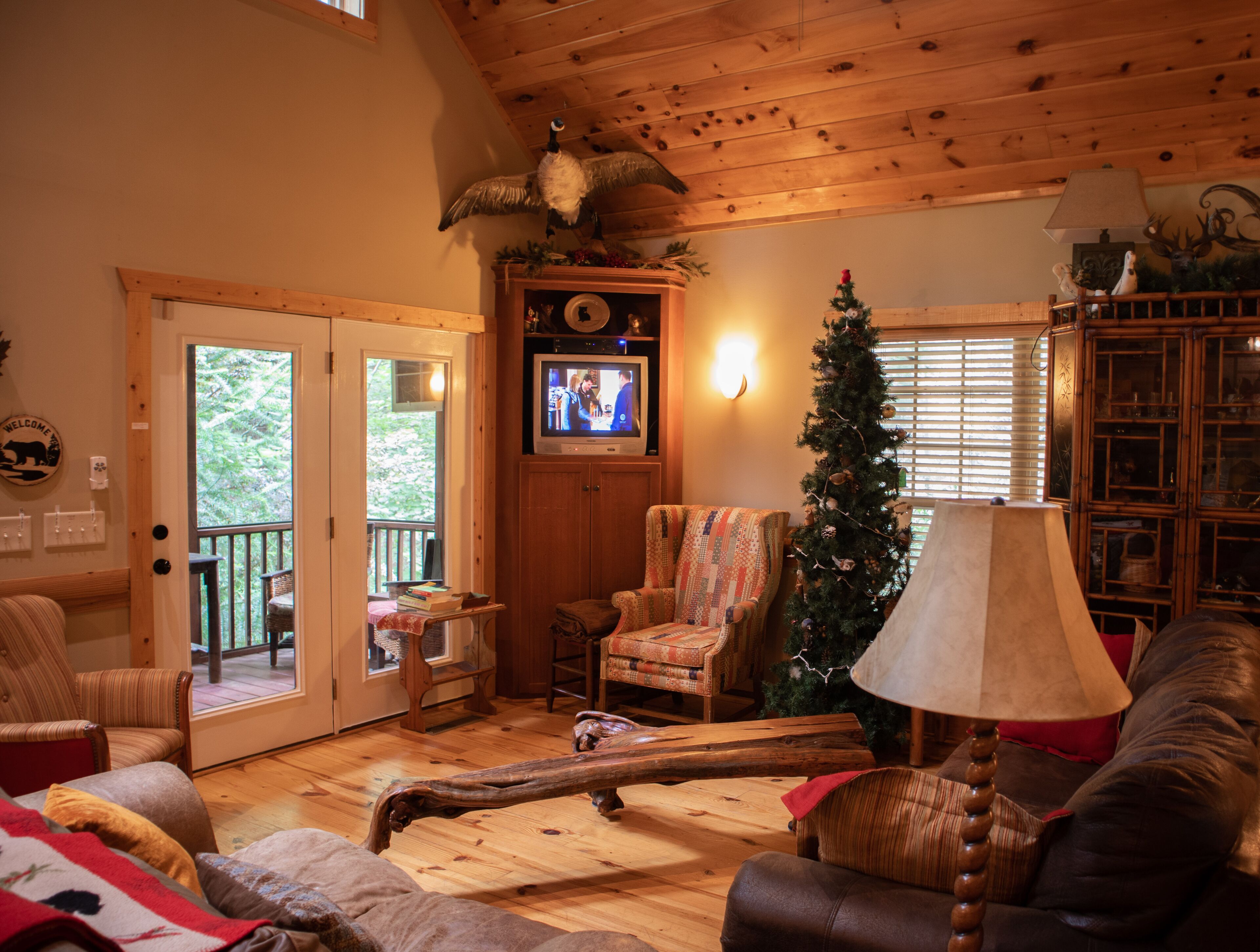 TV connectée, cheminée, jeux vidéo, lecteur de DVD