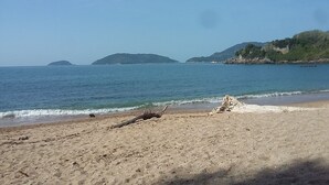 Une plage avec un rivage sablonneux, un grand morceau de bois flotté et des collines à l’horizon.