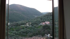 Une vue depuis un balcon donnant sur une vallée, avec des maisons et des arbres.