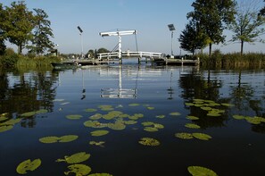 Un puente sobre un río tranquilo con nenúfares en el agua.