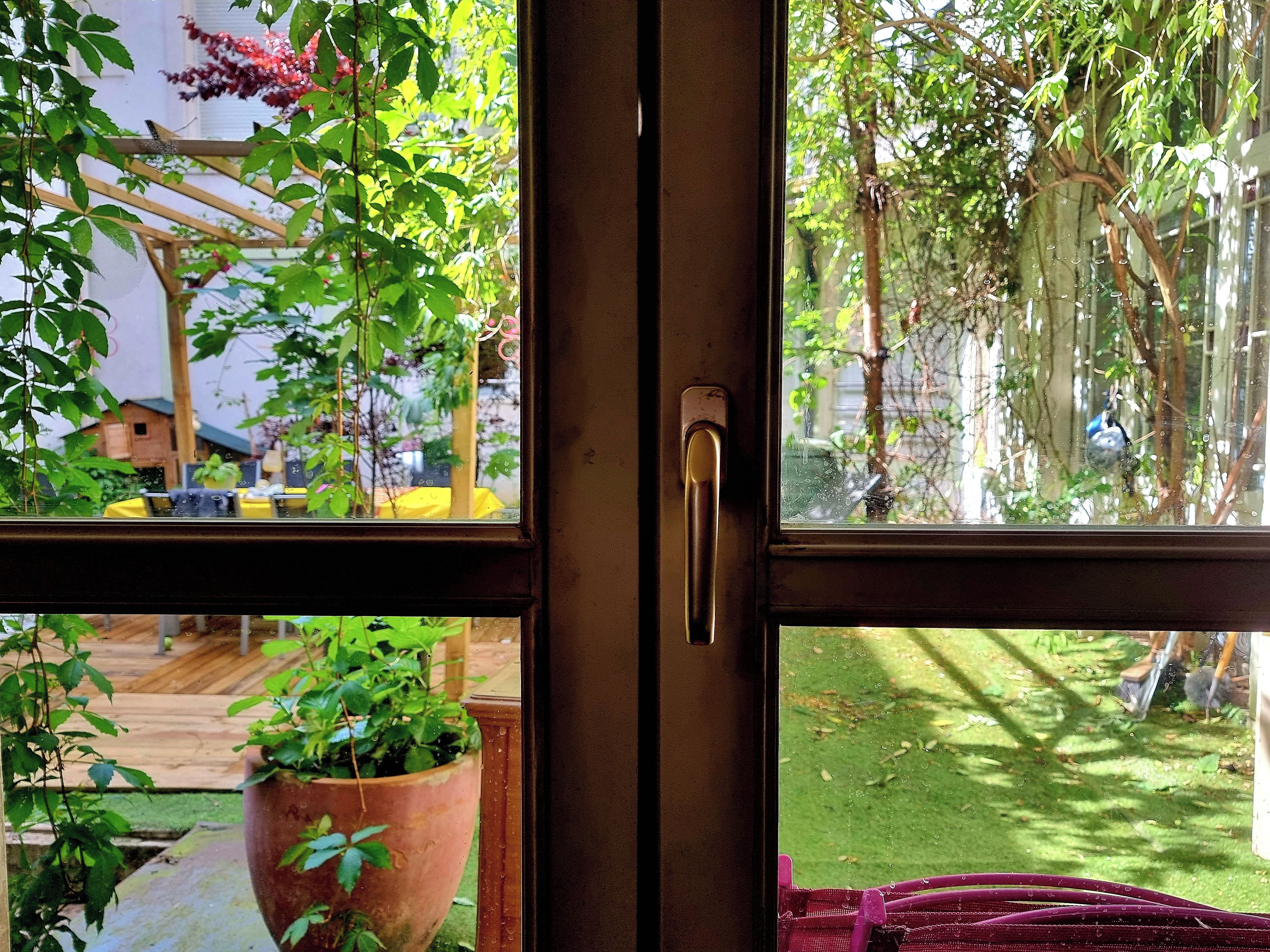 A window with a view of a garden, a wooden deck, and a potted plant.