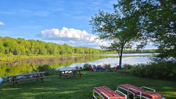 En picnicplads ved søen med bænke, borde og liggestole.