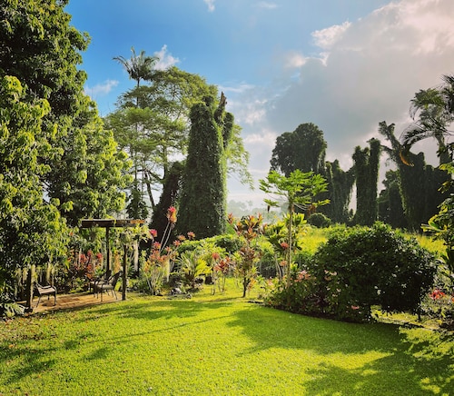 Spacious Historic Estate ~ 5 Min Walk to Hilo & Bay Front