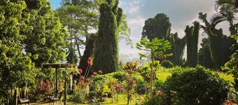 Tilava ja historiallinen talo, jossa on suuret makuuhuoneet - perheystävällinen