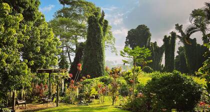 Spacious Historic Estate ~ 5 Min Walk to Hilo & Bay Front
