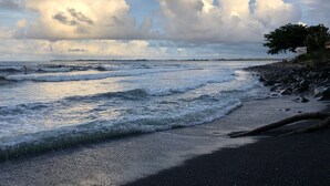 A beach with waves, a rocky shoreline, and a tree. - Spacious Historic Estate ~ 5 Min Walk to Hilo & Bay Front (Hilo)