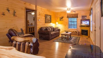 TV, fireplace, video games, DVD player