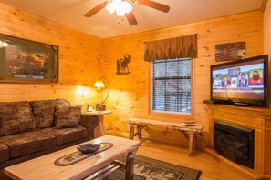 TV, fireplace, video games, DVD player