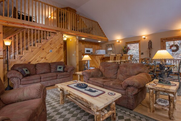 TV, fireplace, video games, DVD player