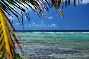 Vlak bij het strand, strandlakens