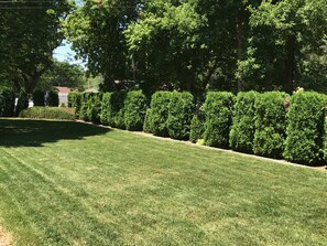 Parco della struttura