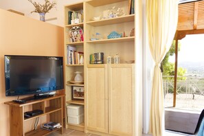 Televisión y chimenea 