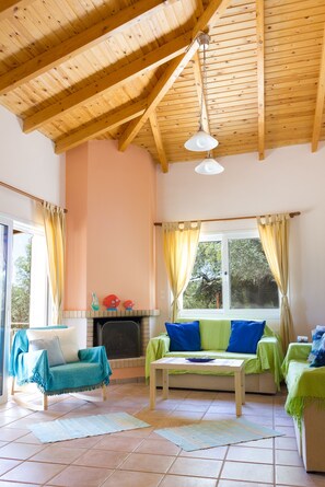 Televisión y chimenea 