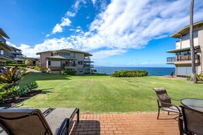 A residential area with a grassy lawn, a patio with chairs, and a view of the ocean.