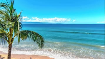 A beach with clear blue water, a palm tree, and a person walking on the sand.