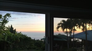 A view through a window of a residential area with a sunset, palm trees, and a grassy area.