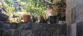 Bungalow 1 met grote keuken