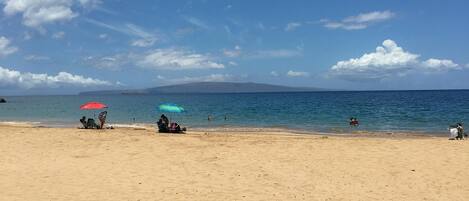 Beach nearby, sun-loungers, beach towels