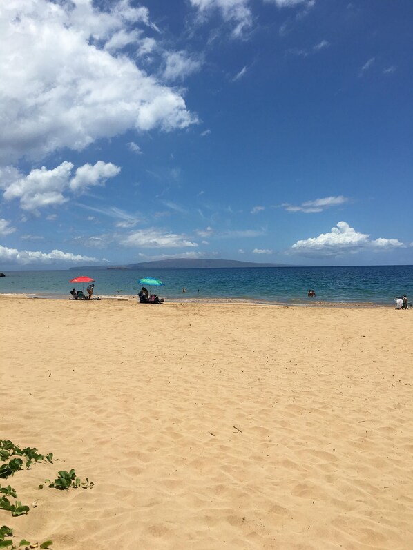 Plage à proximité, chaises longues, serviettes de plage