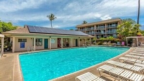 Une piscine avec des chaises longues, un bâtiment équipé de panneaux solaires et un palmier.