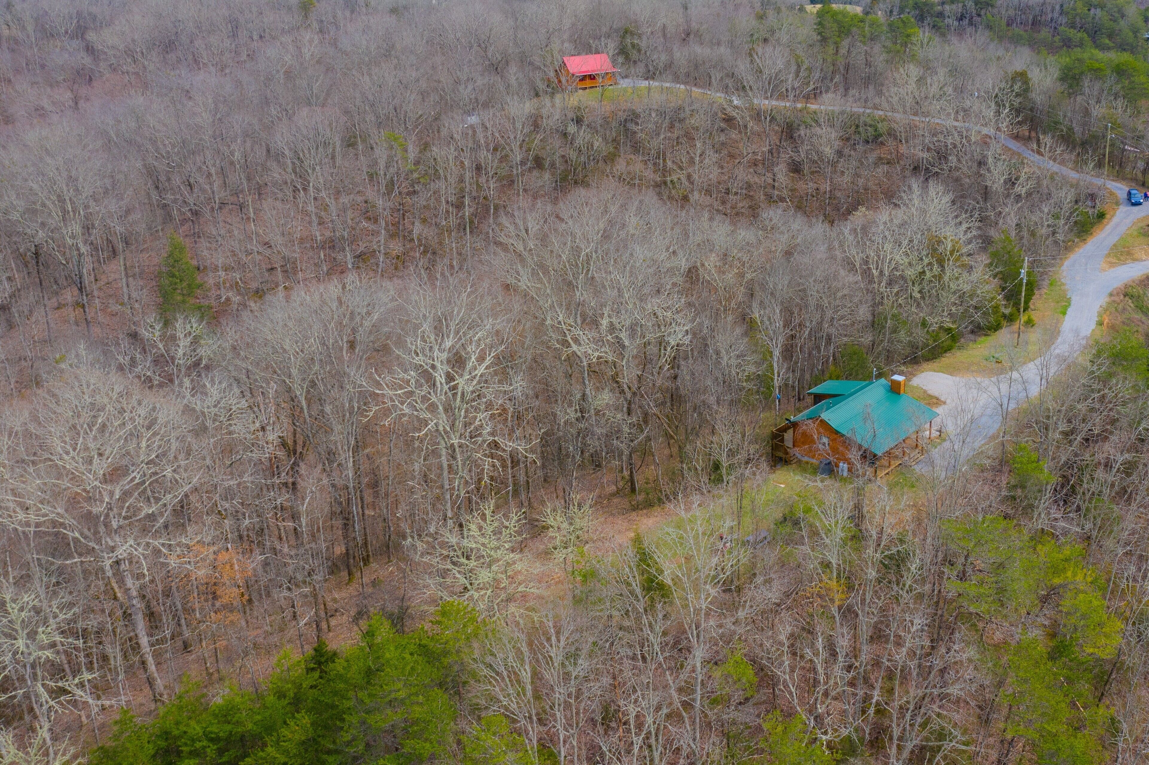 A cabin surrounded by dense forest with a winding road leading to it.