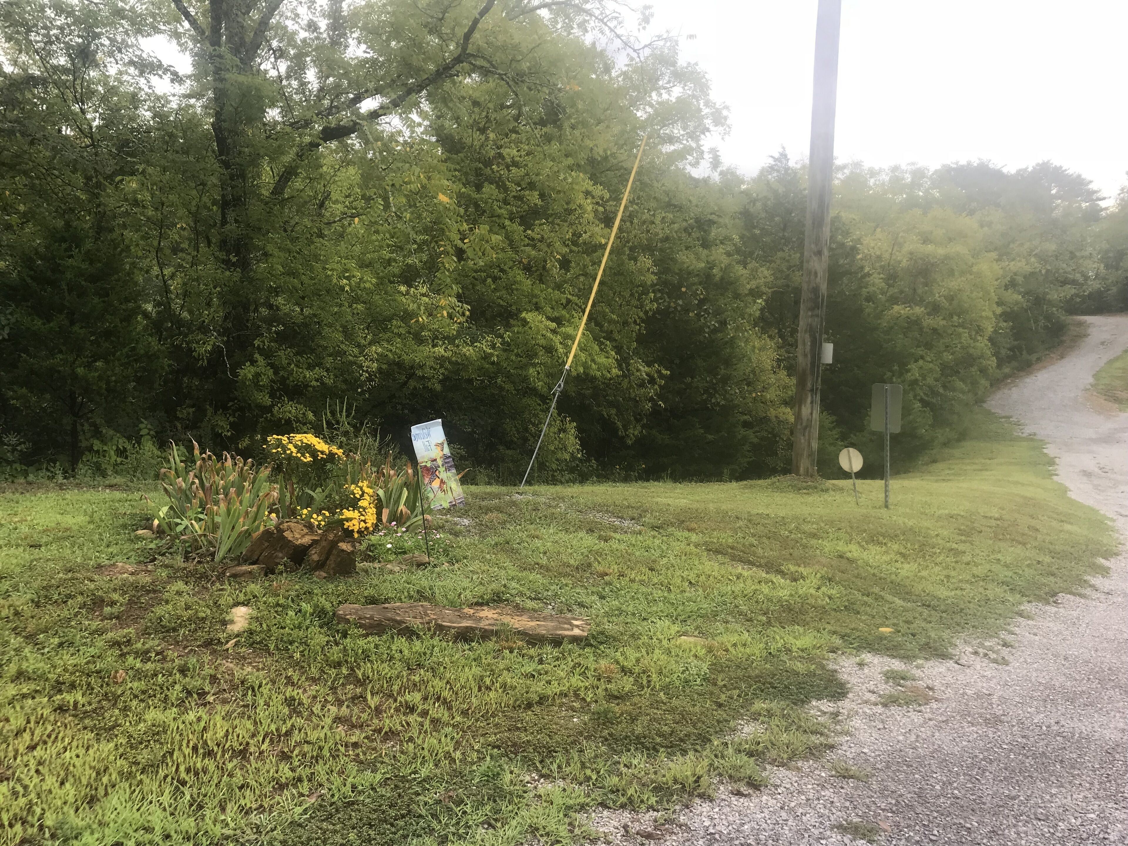 A rural roadside with a gravel path, dense greenery, and a utility pole.