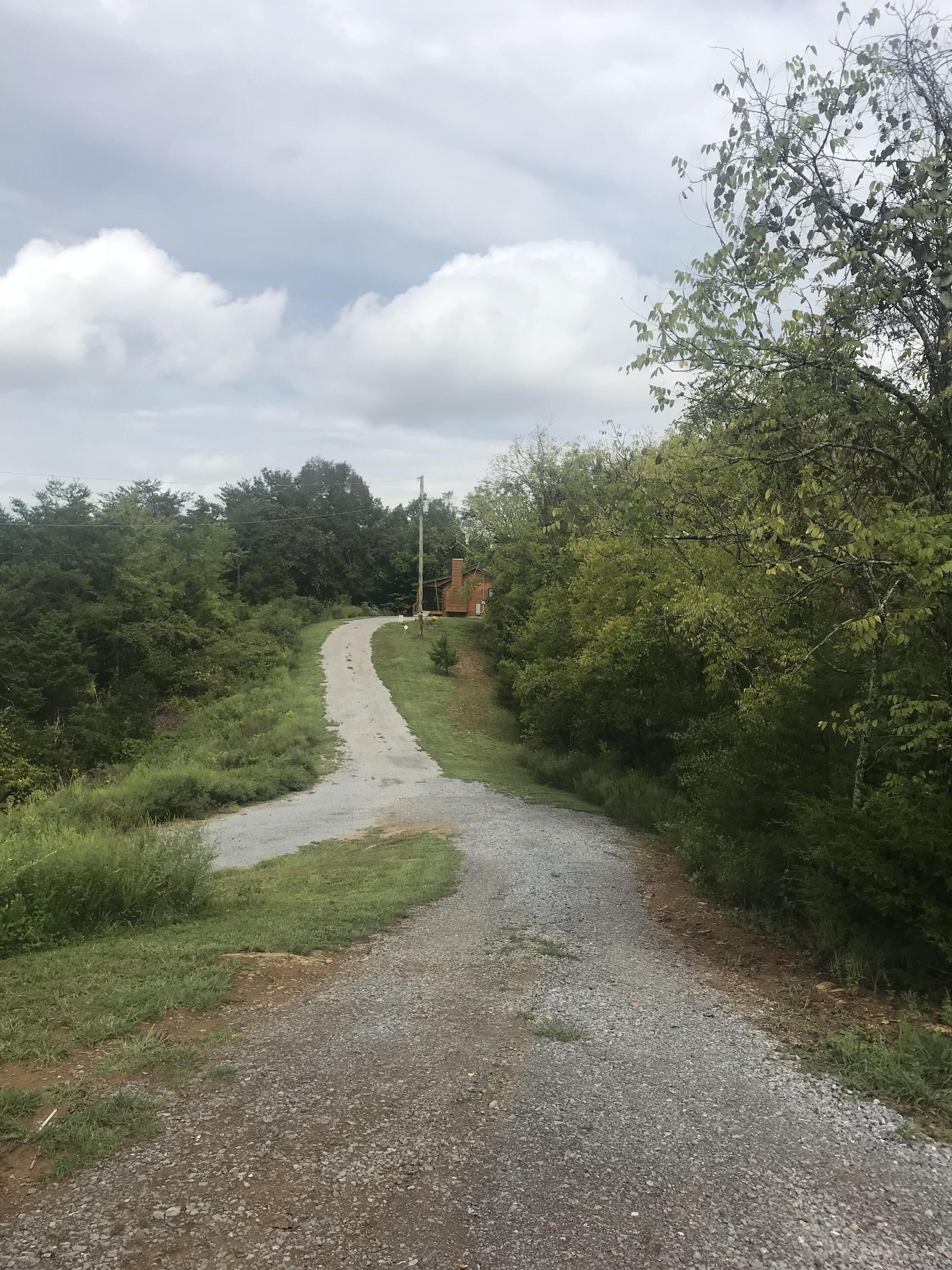 A gravel path leading to a brick house surrounded by dense greenery.