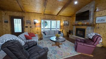 Télévision, cheminée, lecteur de DVD, vidéothÚque