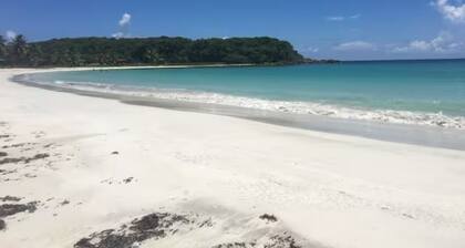 “Casa Isabel II” great location guesthouse