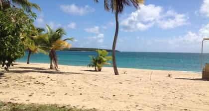 "Casa Isabel II" loistava sijainti vierastalo