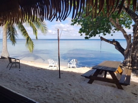 Vista desde la propiedad