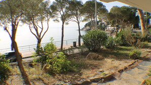 Un paysage côtier avec des arbres, un sentier et une vue sur la mer.