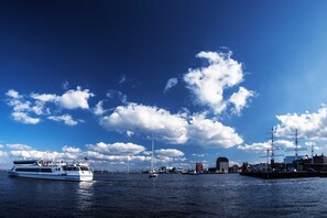 Unclassified image, 3 of 18, button